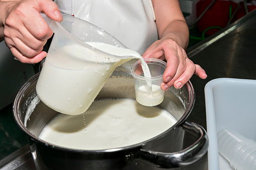 Elaboration of natural yogurt with goat's milk.