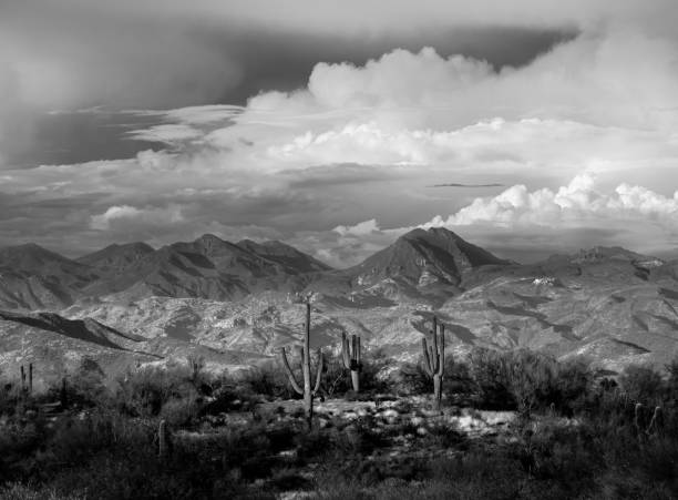 istock Dramatic Sonoran desert mountain sunset in black and white 1414061987