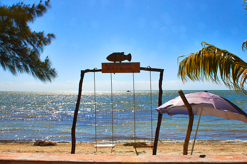 Rustic swings on the beach, umbrella on the sand, palm trees, and sea bottom on a sunny day, watery island campeche