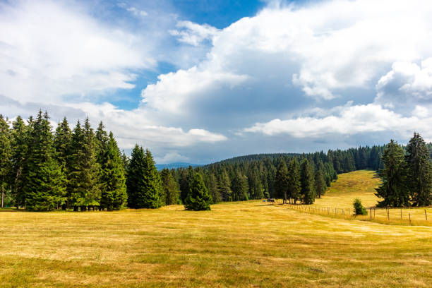 istock Summer discovery tour through the Thuringian Forest near Brotterode 1414065658