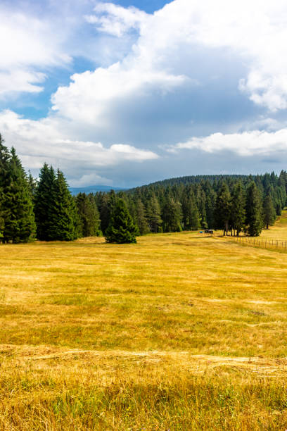istock Summer discovery tour through the Thuringian Forest near Brotterode 1414065674