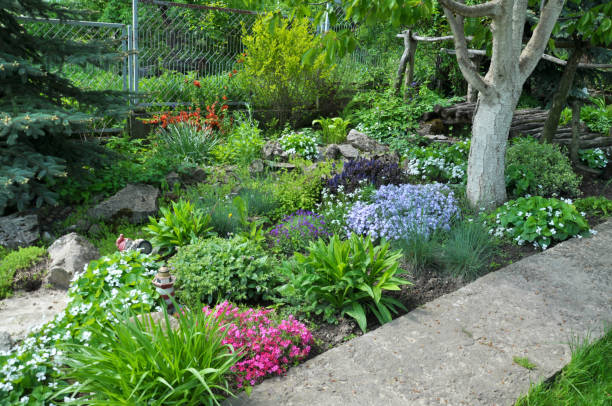 istock Flowerbed in the garden 1414070173