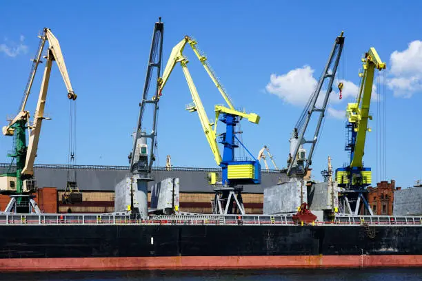 Photo of View of many cranes in the port on blue sky background