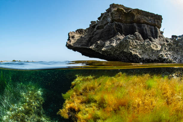 istock a rock in the Mediterranean 1414072499