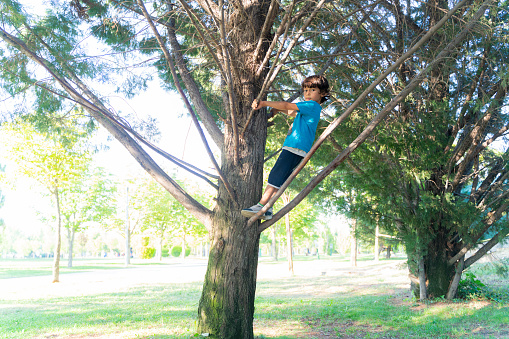 portrait of boy climbing tree. 
posing standing among tree branches. Taken with a full-frame camera in daylight.