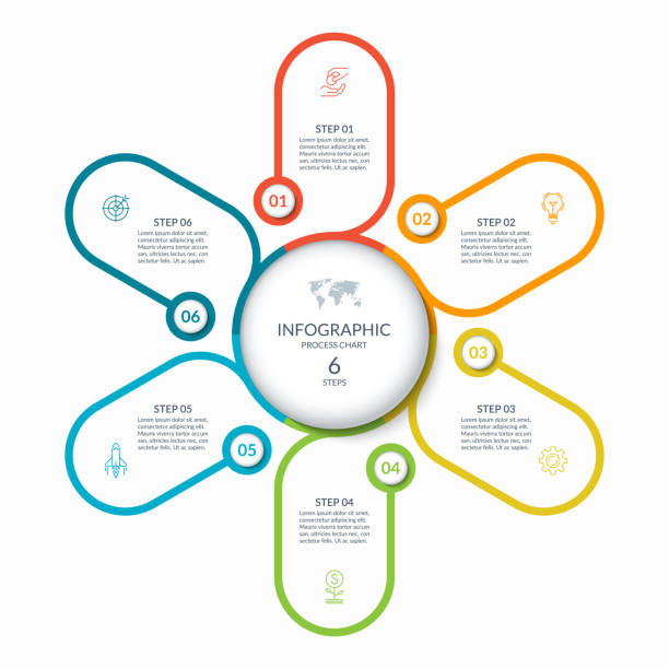 ilustraciones, imágenes clip art, dibujos animados e iconos de stock de infografía redonda con 6 pasos, partes, opciones, procesos. concepto de infografía de círculo vectorial. diagrama de ciclo con iconos de línea delgada. - media docena de huevos