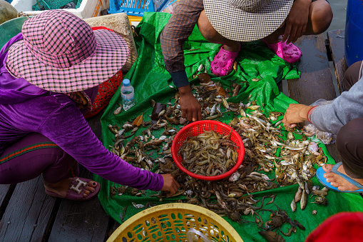 Kep. Cambodia. November, 20, 2019. Krong Kep Province. Crab market. Shrimp fishing