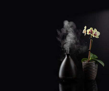 Aroma dispenser spraying fog of vapor placed next to blooming orchid flower in a pot on black background with space for copy text