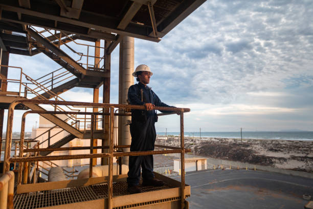 istock Worker at Coastal Power Plant Looking Out at Beach 1414082335