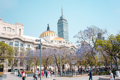 Mexico City, Mexico; april 02 2022: view to the palace of fine arts and the latin american tower in spring, jacarandas.