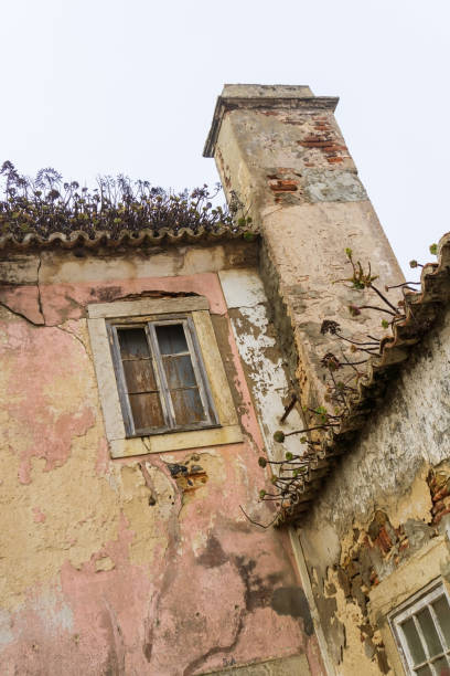 istock Old abandoned house with succulents on a roof 1414083167