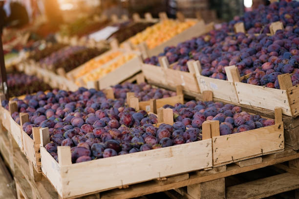 istock Fresh plums fruit boxes sold in the market. 1414083604