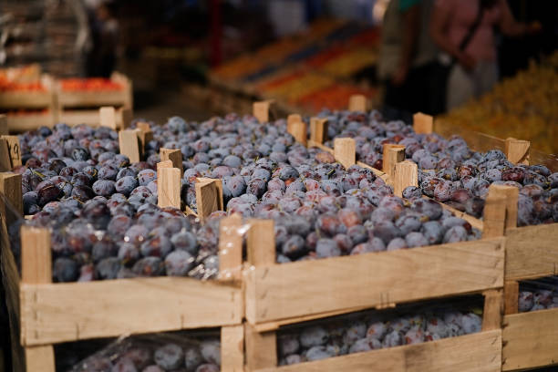istock Fresh plums fruit boxes sold in the market. 1414083638