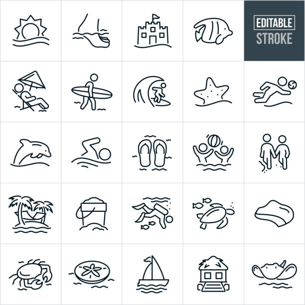 Beach Thin Line Icons - Editable Stroke A set of beach icons that include editable strokes or outlines using the EPS vector file. The icons include a sun over the ocean, foot wading in the ocean, tropical fish, person relaxing on beach in beach chair with beach umbrella, surfer with surfboard, surfer surfing, starfish in sand, person playing beach volleyball, dolphin jumping out of water, person swimming, flip flops in sand, kids playing in ocean with beach ball, couple walking on the beach, hammock between two palm trees on a small island, sand pail with sand, scuba diver scuba diving, sea turtle with fish, coastline, crab on beach, sail boat sailing, tiki beach house, and a stingray swimming in ocean. hammock stock illustrations