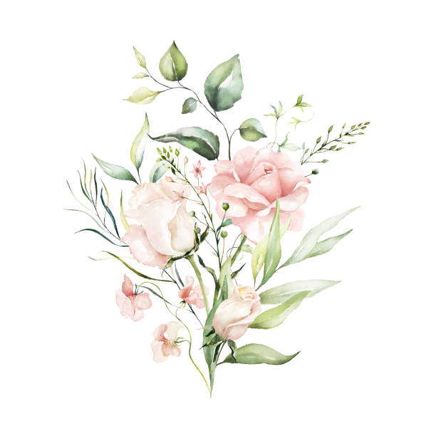 kuvapankkikuvitukset aiheesta akvarelli kukkakimpun reunusseppelekehys kirkkaalla persikkavärillä, punastuksella, valkoisella, vaaleanpunaisella, eloisilla kukilla, kultaelementeillä, vihreillä lehdillä - rose flower