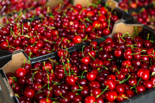 istock Fresh ripe appetizing cherry in crates, warehouse at factory 1414096444