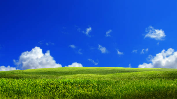 istock Freshness of empty green grass field over sunny blue sky 1414097036