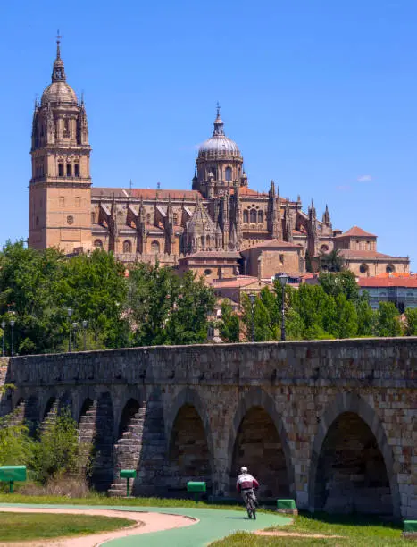 Photo of Cathedral of Salamanca and Roman bridge. Castilla León. Spain
