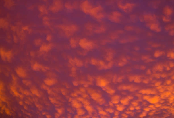 istock Golden Pink Magenta Christmas Clouds 1414101886