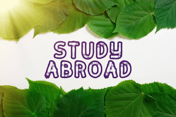 istock Text sign showing Study Abroad. Conceptual photo Pursuing educational opportunities in a foreign country Important Informations Written On Paper Under Lot Of Leaves. 1414107960