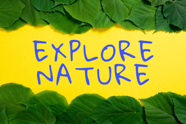 Writing displaying text Explore Nature. Internet Concept Reserve Campsite Conservation Expedition Safari park Important Informations Written On Paper Under Lot Of Leaves.