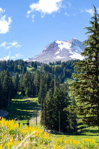 istock Mount Hood in the summer, Oregon 1414108913