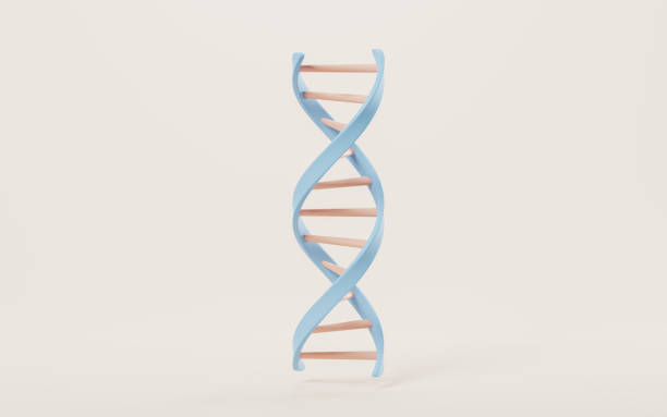 concetto di dna e biotecnologia, rendering 3d. - dna helix molecular structure chromosome foto e immagini stock