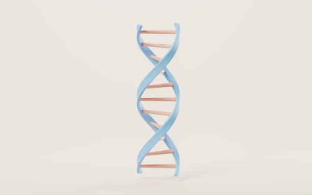 dna 및 생명 공학 개념, 3d 렌더링. - dna helix molecular structure chromosome 뉴스 사진 이미지