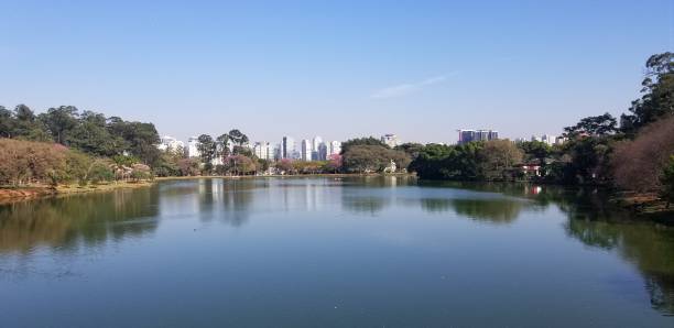 istock Sao Paulo as seen from Ibirapuera Park 1414120907