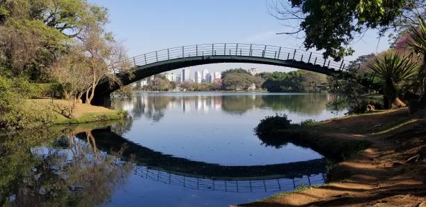 Sao Paulo as seen from Ibirapuera Park São Paulo, Brazil as seen from Ibirapuera Park ibirapuera park stock pictures, royalty-free photos & images