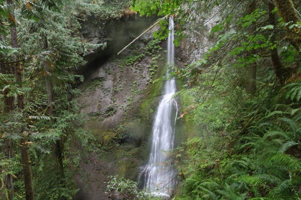 istock Marymere falls in  Olympic National Park Washington 1414123157
