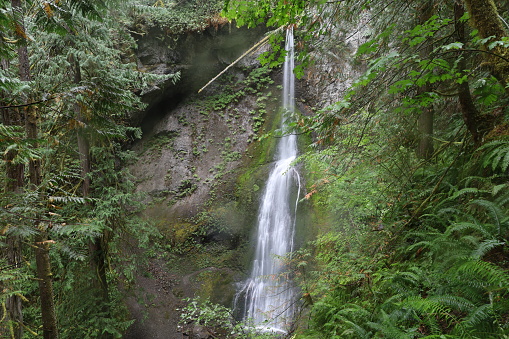 Photo of Marymere falls in  Olympic National Park Washington
