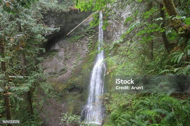 Marymere Falls In Olympic National Park Washington Stock Photo - Download Image Now