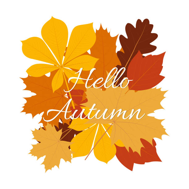 ilustraciones, imágenes clip art, dibujos animados e iconos de stock de hola fondo de otoño con hojas - equinoccio de otoño