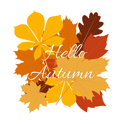 Hello Autumn background with leaves