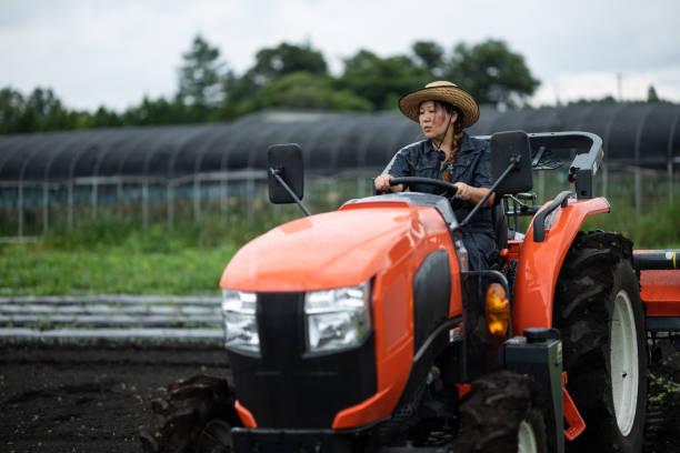 A farmer carefully drives his tractor