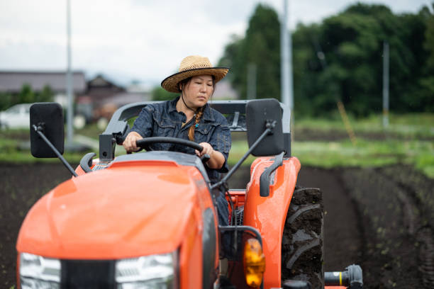 A mid age Japanese female farm worker operating a farm tractor.
