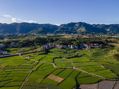 Aerial view of ecological countryside and green organic farm