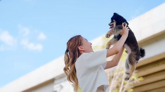 Happy young asian woman holding her dog and happy smile in the park. Pet lover concept