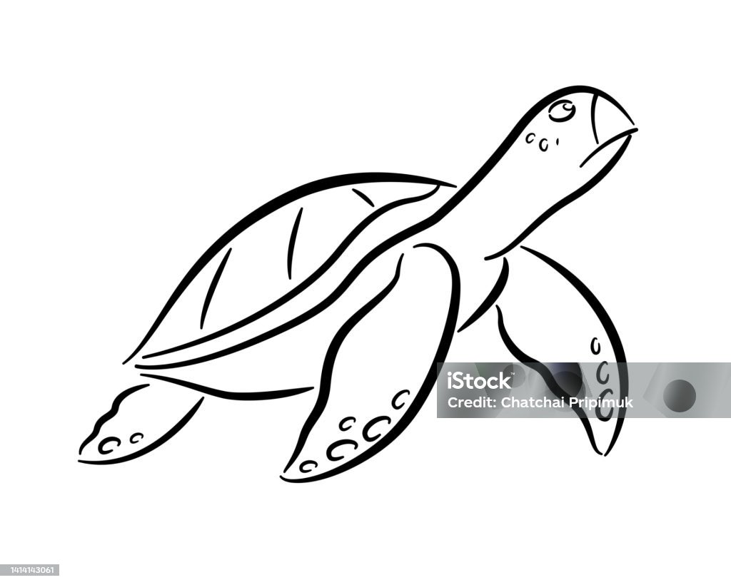 Rùa Biển Vẽ Các Đường Màu Đen Hình minh họa Sẵn có - Tải xuống ...