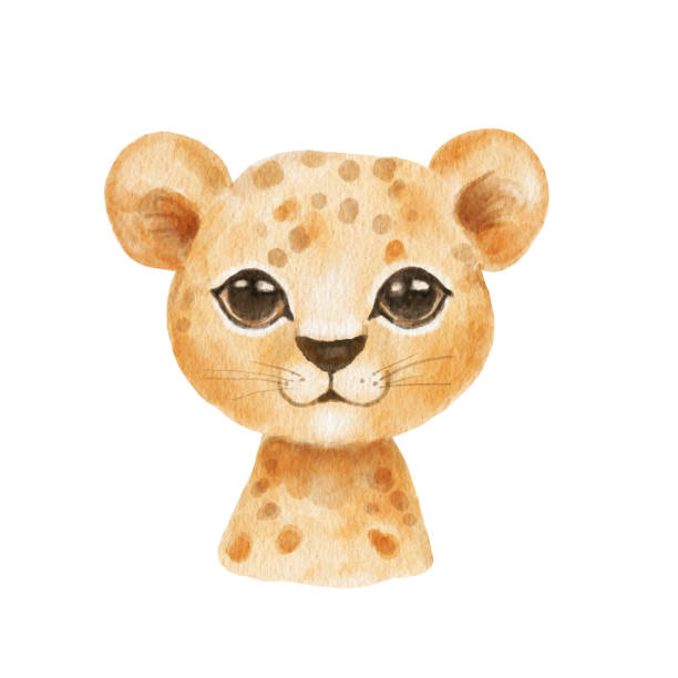 Cute Portrait Cheetah Head In Cartoon Style Drawing African Baby Wild Cat  Face Isolated On White Background Watercolor Sweet Leopard For Kids Poster  And Card Jungle Animal Stock Illustration - Download Image