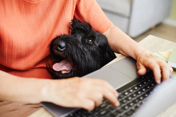 istock Owner working on laptop with her dog 1414157598