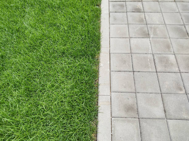 istock lawn and sidewalk. Outdoor background 1414161194