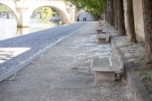 Benches by the Seine River, with two people walking under Pont Neuf in the distance