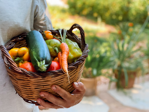 Man’s hands holding wicker basket with freshly picked homegrown produce