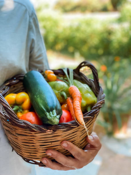 istock Home grown produce 1414162645