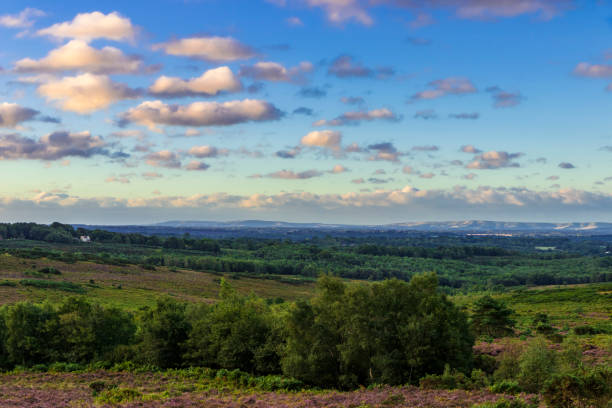 Dawn Ashdown Forest Dawn over Ashdown Forest from Stone Hill in East Sussex south east England with the South Downs on the horizon ashdown forest photos stock pictures, royalty-free photos & images