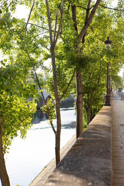 istock Trees by the River Seine in early morning light 1414168027