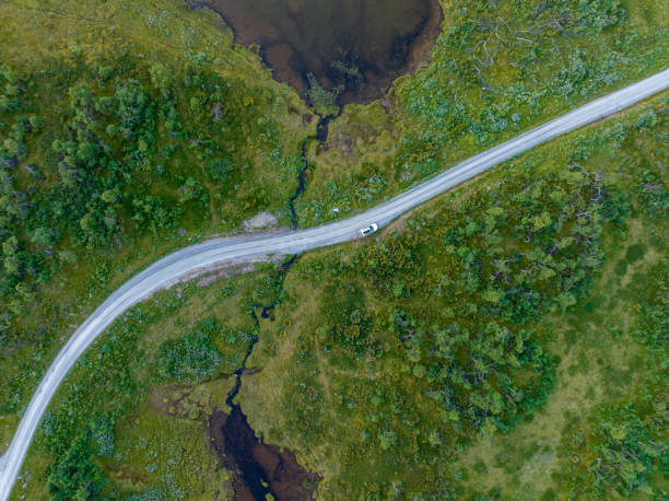 istock Road through green forest landscape and lakes 1414169209