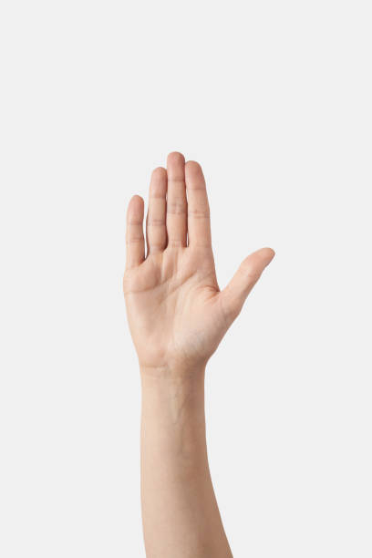 istock Raised up asking, volunteering female hand on white. 1414171670